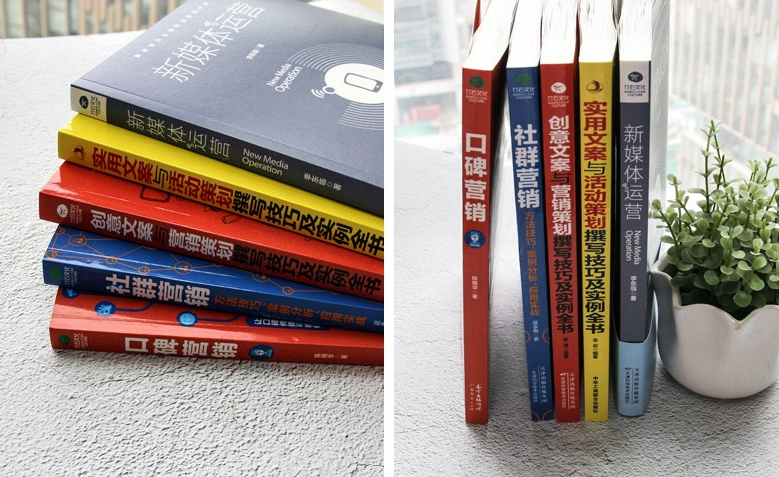 新媒体运营通往运营高手之路——营销+策划+文案书籍(图2)